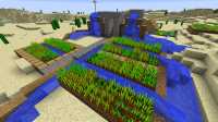 village_de_loasis (2)